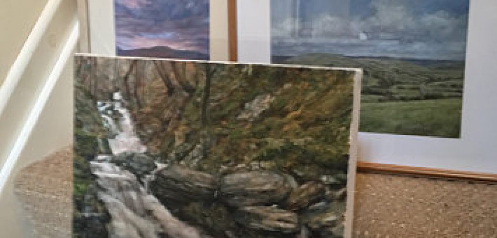 Radnorshire Museum Exhibition