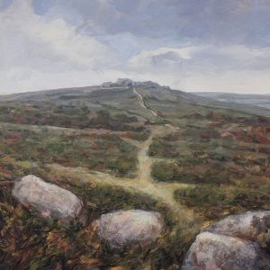 Hound Tor Dartmoor